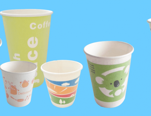 Foaming paper cup