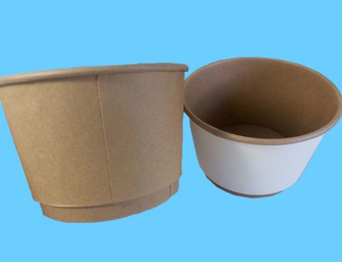 Double Wall Paper Bowl